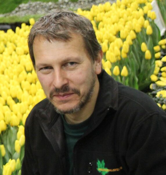 torgeir